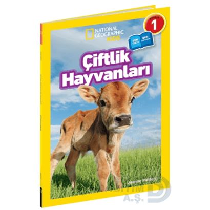 Çiftlik Hayvanlaarı - Seviye 1