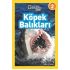 Köpek Balıkları
