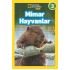  Mimar  Hayvanlar