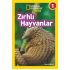 Zırhlı Hayvanlar - Seviye 1