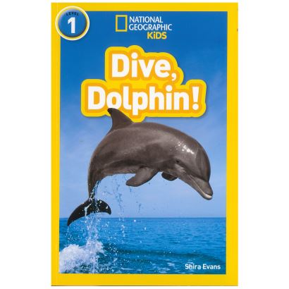 Dive,Dolphin !