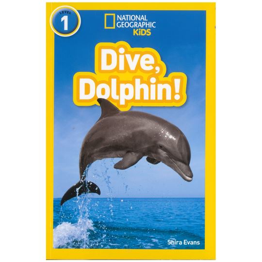 Dive,Dolphin !