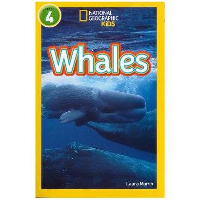 Whales Level 4