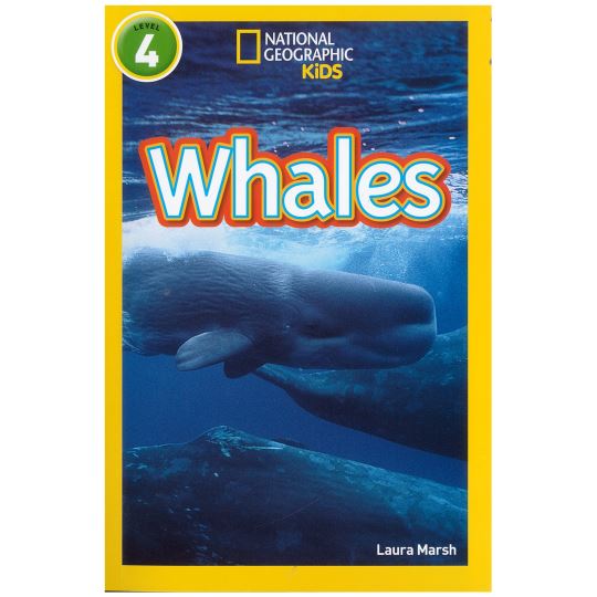 Whales Level 4