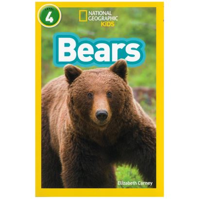 Bears Level 4