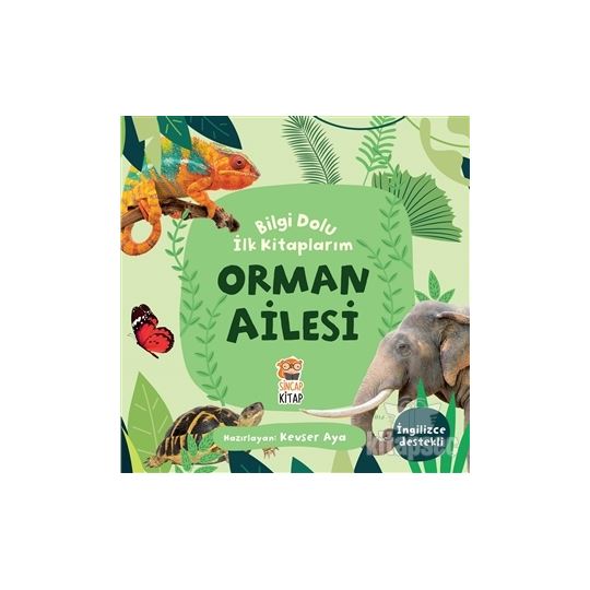 Sincap /  Orman Ailesi