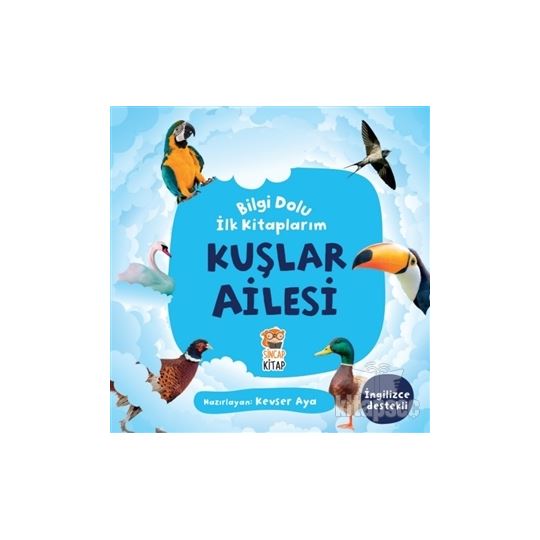 Sincap /  Kuşlar Ailesi