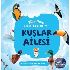 Sincap /  Kuşlar Ailesi