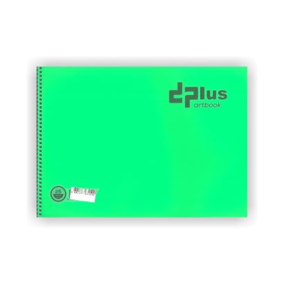 Dplus 25X35 Plastik Kapak Telli Resim Defteri Yeşil