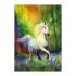 Educa Chase The Rainbow 500 Parça Yetişkin Puzzle