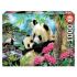 Educa 1000 Parça Pandaların Sabah'ı Puzzle 