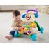 Fisher Price Eğlen & Öğren™ Yaşa Göre Gelişim Eğitici Köpekçik Yürüteç