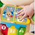 Fisher Price Eğlen & Öğren™ Yaşa Göre Gelişim Eğitici Köpekçik Yürüteç