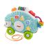 Fisher-Price® Linkimals™ Sevimli Kirpi