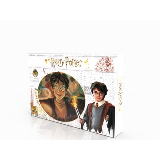 Harry Potter 250 Parça Puzzle