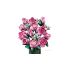 LEGO® Botanicals Pembe Gül Buketi