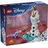  LEGO® │ Disney Olaf ve Bruni'nin Piknik Eğlencesi