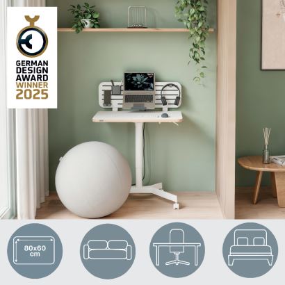 Leitz Ergo Küçük Sit Standing Masa