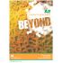 Beyond A2 Student Book