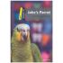 Jakes Parrot Domınoes Level 1 2