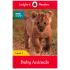 Bbc Earth Baby Anımals Ladybırd Level 1 0