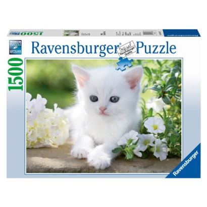 Ravensburger Beyaz Kedi 1500 Parça Yetişkin Puzzle