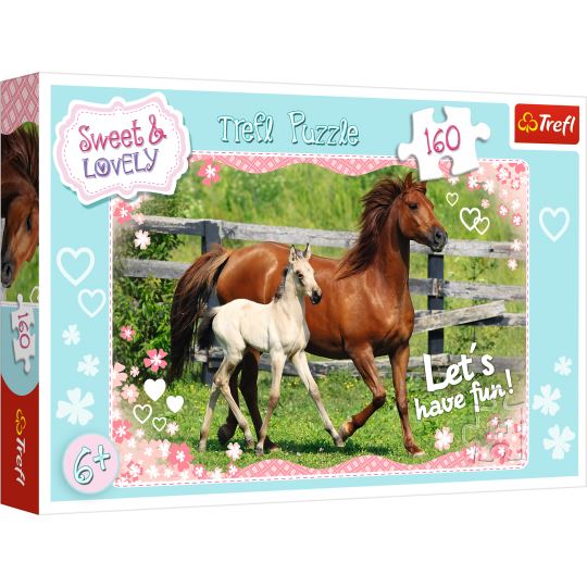 Trefl The Afternoon Walk / Trefl 160 Parça Puzzle