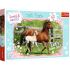 Trefl The Afternoon Walk / Trefl 160 Parça Puzzle