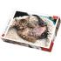 Trefl Puzzle 1000 Cheerful Kitten Parça