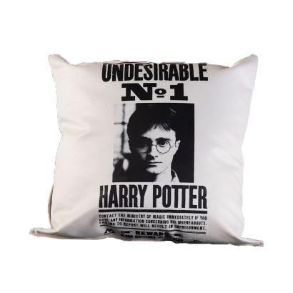 Harry Potter Yastık Undesirable No 1, Harry Potter